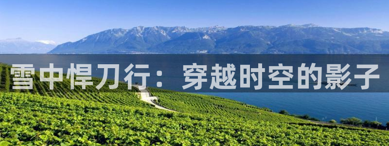 金桔影视app下载：雪中悍刀行：穿越时空的影子