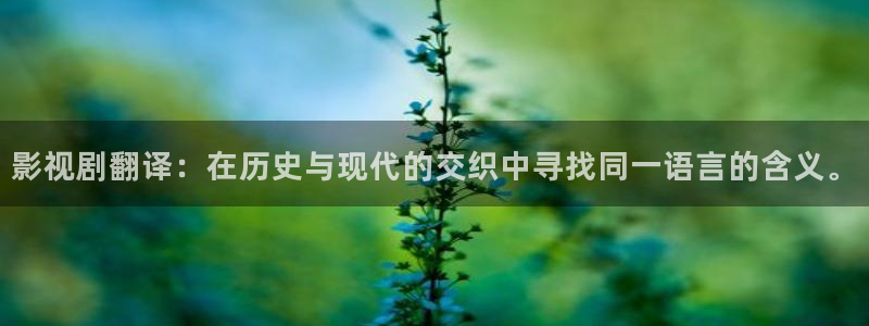 下载金桔视频：影视剧翻译：在历史与现代的交织中寻找同一语言的含义。