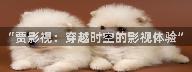 金桔影视哪里下载：“贾影视：穿越时空的影视体验”