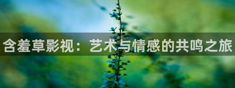金桔视频免费下载：含羞草影视：艺术与情感的共鸣之旅