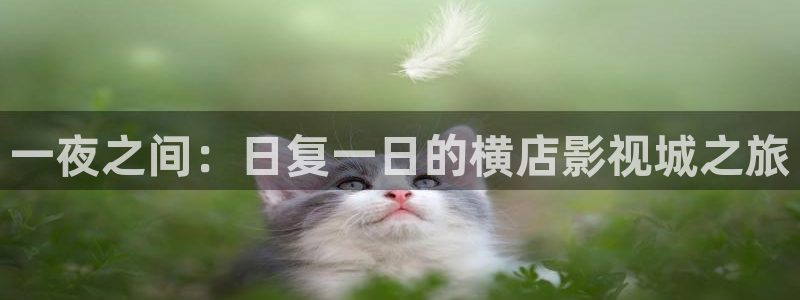 金桔tv：一夜之间：日复一日的横店影视城之旅
