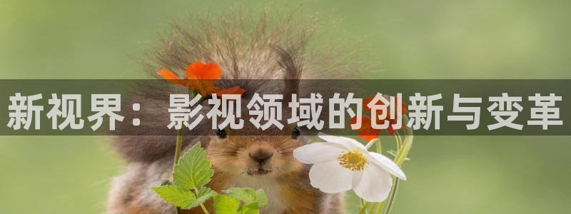 下载金桔影视：新视界：影视领域的创新与变革