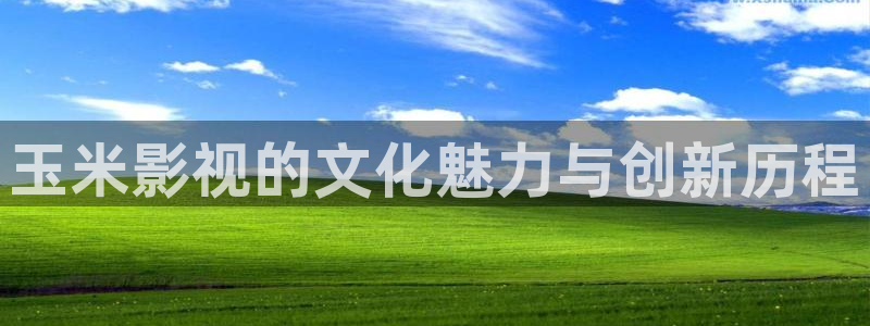 金桔电影：玉米影视的文化魅力与创新历程