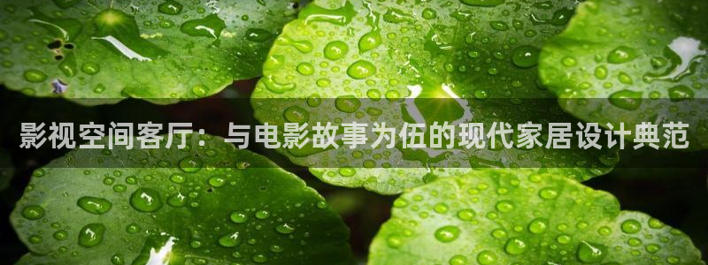 下载金桔影视：影视空间客厅：与电影故事为伍的现代家居设计典范