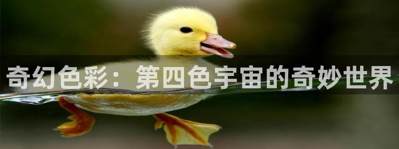 av金桔影院：奇幻色彩：第四色宇宙的奇妙世界
