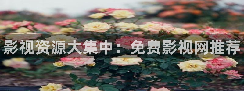 金桔影视app下载：影视资源大集中：免费影视网推荐